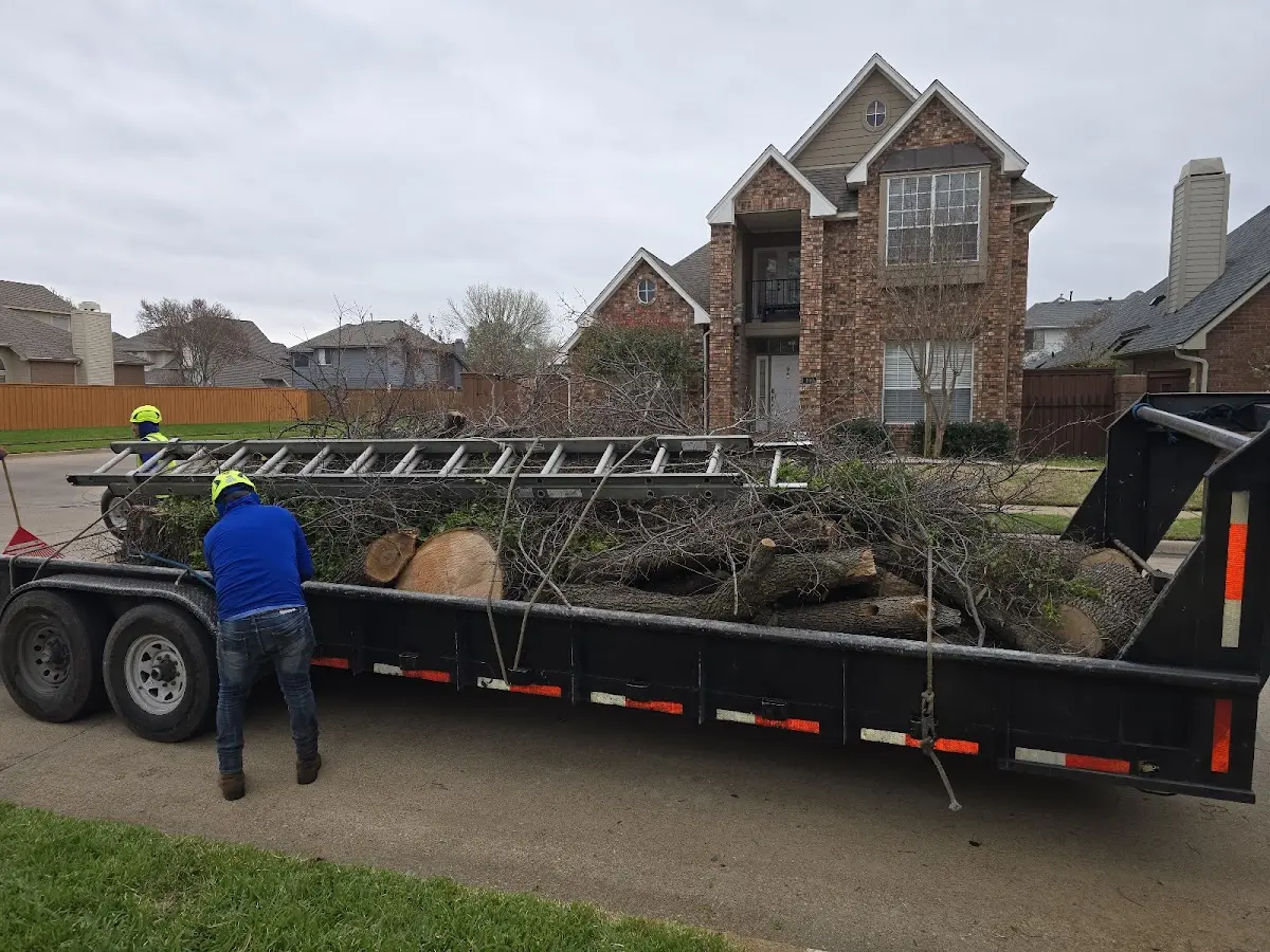 Expert Lot Clearing with proper safety equipment in Glidden